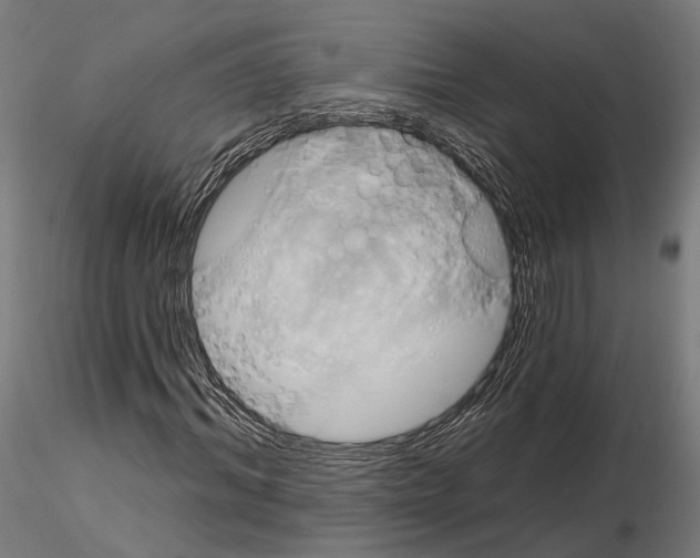 X0000115090964200912081231