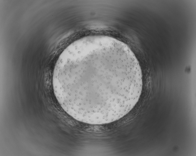 X0000115090966200912081231