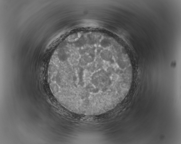 X0000115090967200912081231