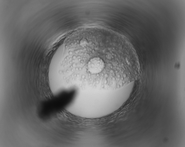 X0000115090968200912081231