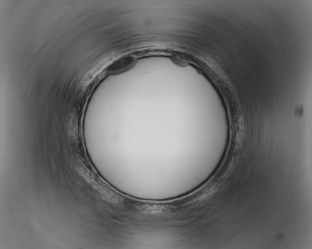 X0000115090969200912081231