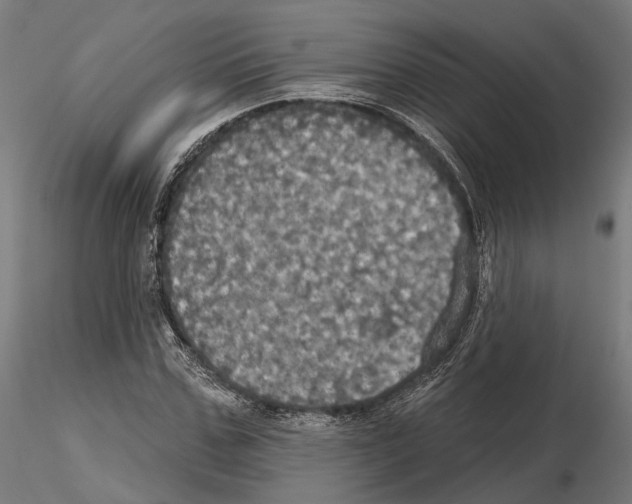 X0000115090971200912081231