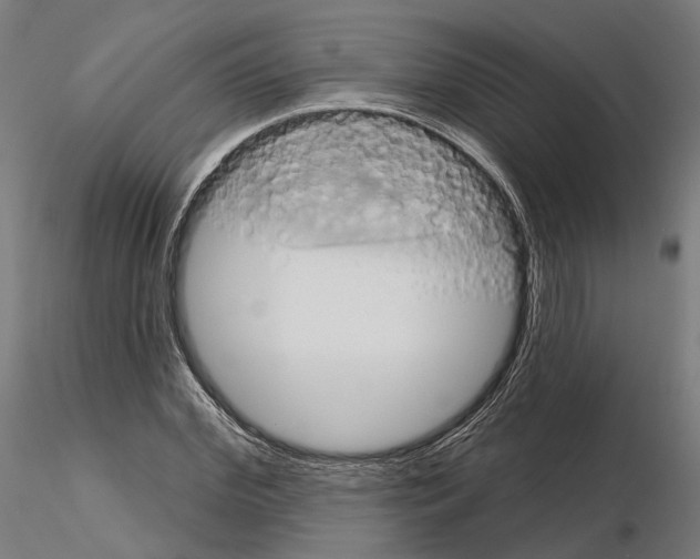 X0000115090972200912081231
