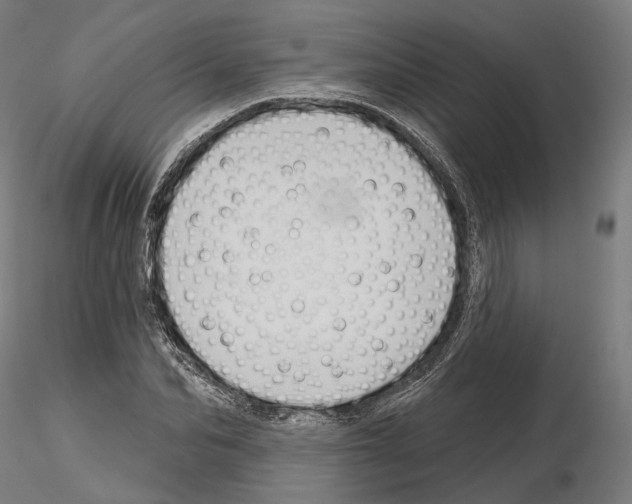 X0000115090974200912081231