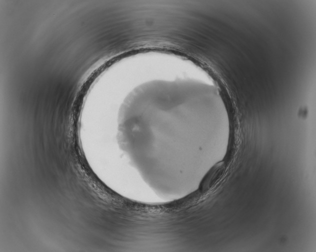 X0000115090975200912081231