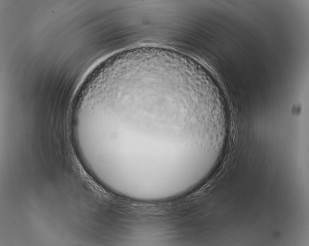 X0000115090976200912081231