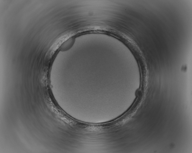 X0000115090977200912081231
