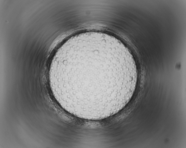 X0000115090978200912081231