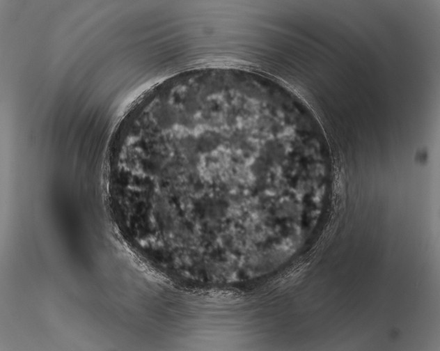 X0000115090979200912081231