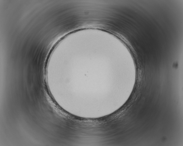 X0000115090980200912081231