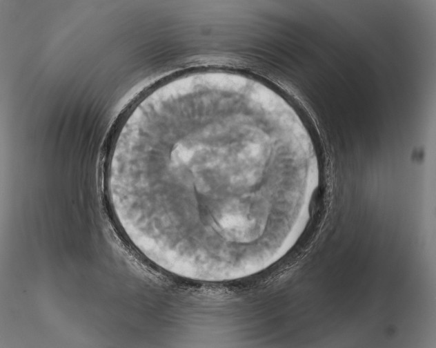 X0000115090983200912081231