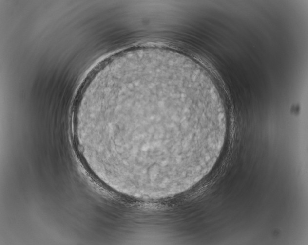 X0000115090984200912081231