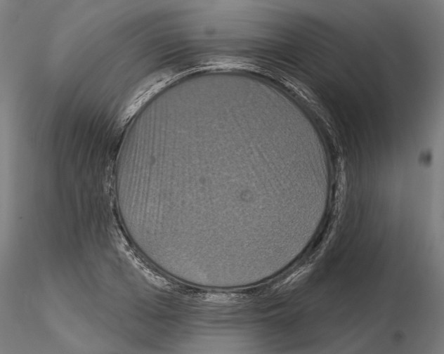 X0000115090985200912081231