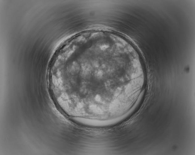 X0000115090987200912081231