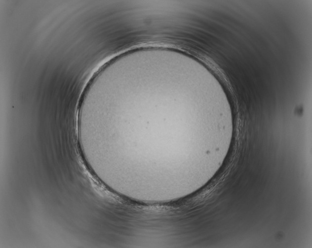 X0000115090988200912081230