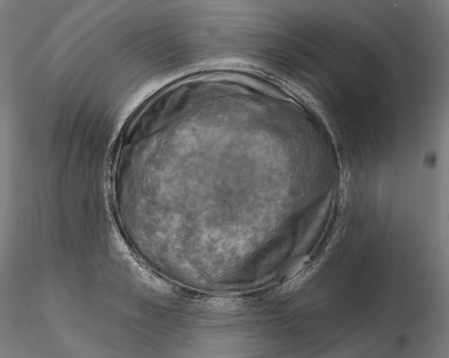 X0000115090989200912081230