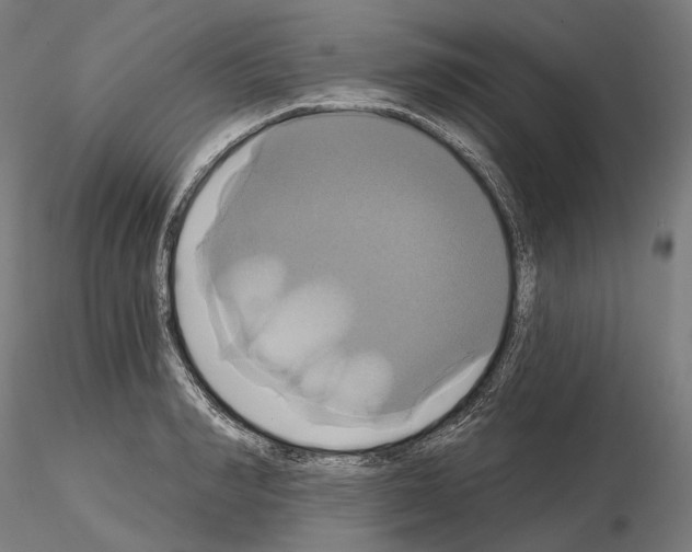 X0000115090990200912081230