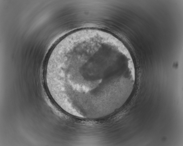 X0000115090991200912081230