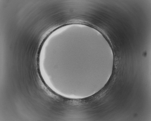 X0000115090995200912081230