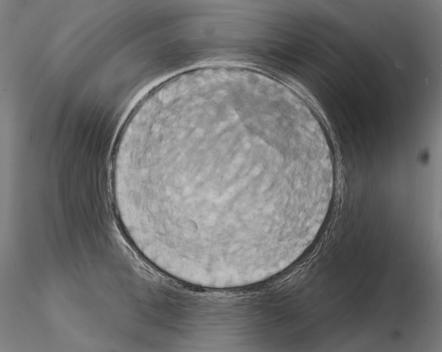 X0000115090996200912081230