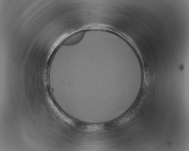 X0000115090997200912081230