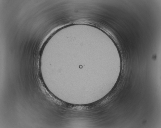 X0000115091000200912081230