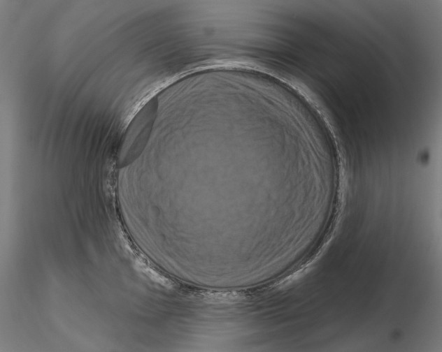 X0000115091001200912081230