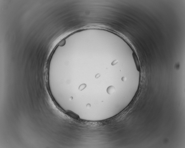 X0000115091003200912081230