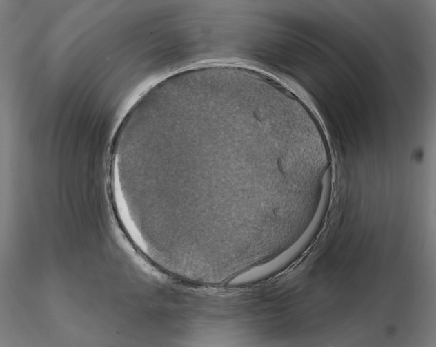 X0000115091005200912081230
