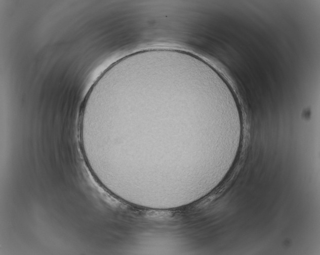 X0000115091006200912081230
