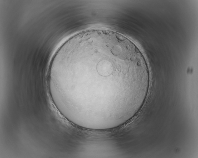 X0000115091008200912081230