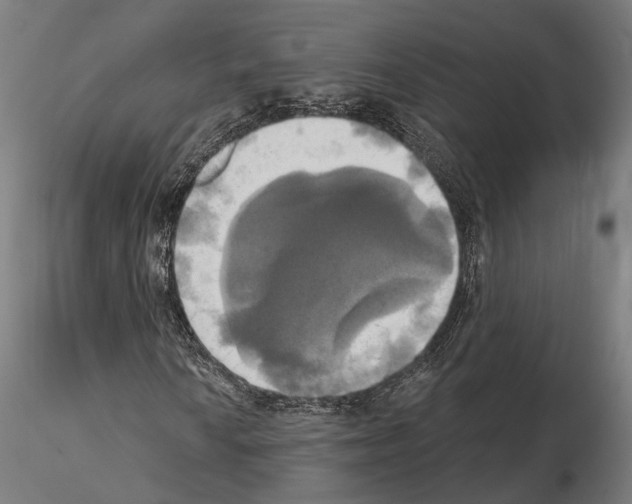 X0000115091010200912081230