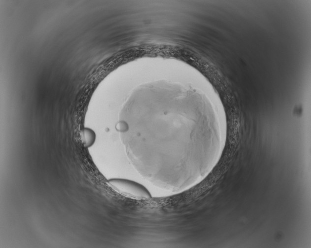 X0000115091013200912081230