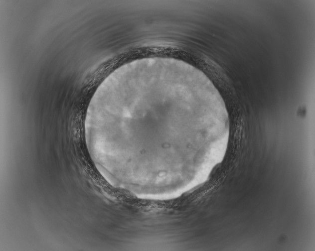 X0000115091014200912081230