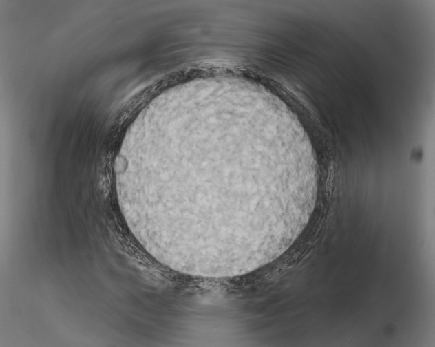 X0000115091015200912081230