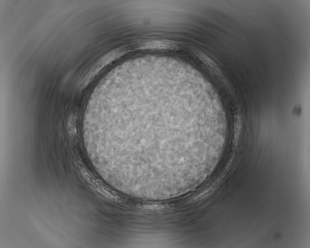 X0000115091017200912081230