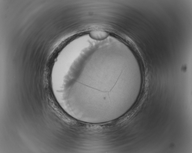 X0000115091019200912081230