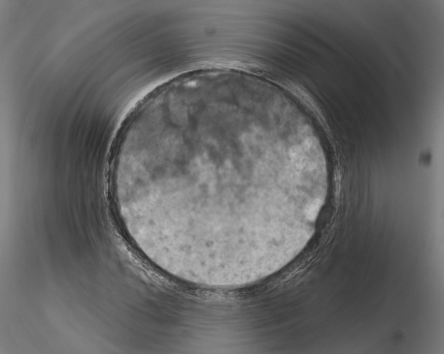 X0000115091020200912081230