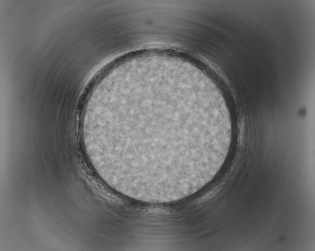 X0000115091021200912081230