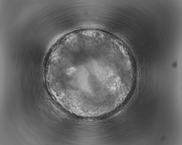 X0000115091022200912081230