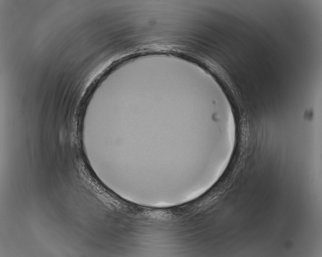 X0000115091023200912081230