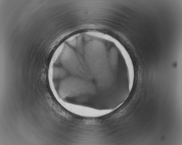 X0000115091025200912081230