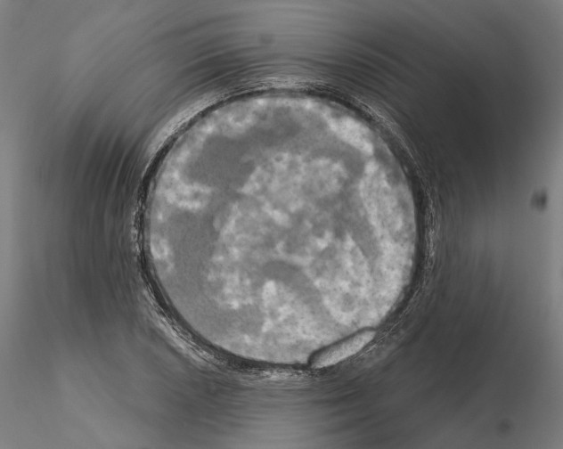 X0000115091026200912081230