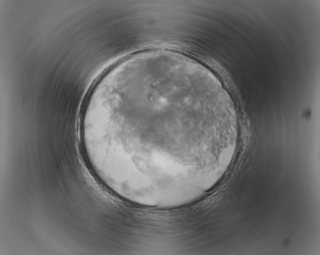 X0000115091028200912081230