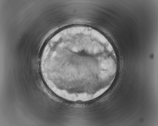 X0000115091029200912081230