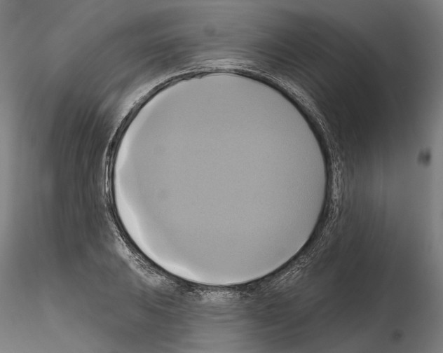 X0000115091031200912081230