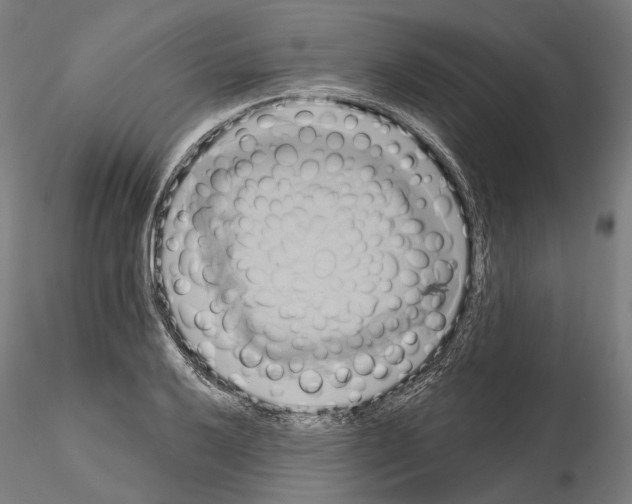 X0000115091032200912081230