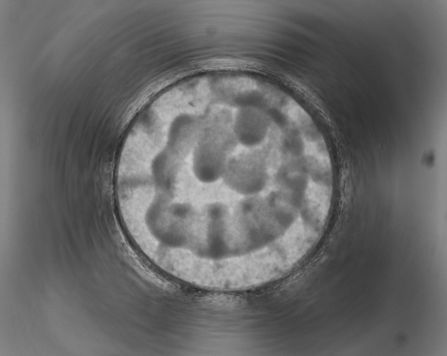 X0000115091033200912081230