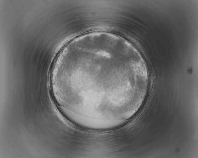 X0000115091034200912081230