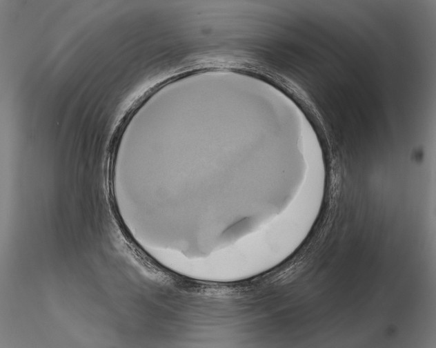 X0000115091035200912081230